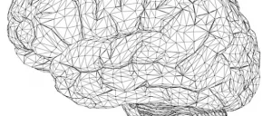 brain